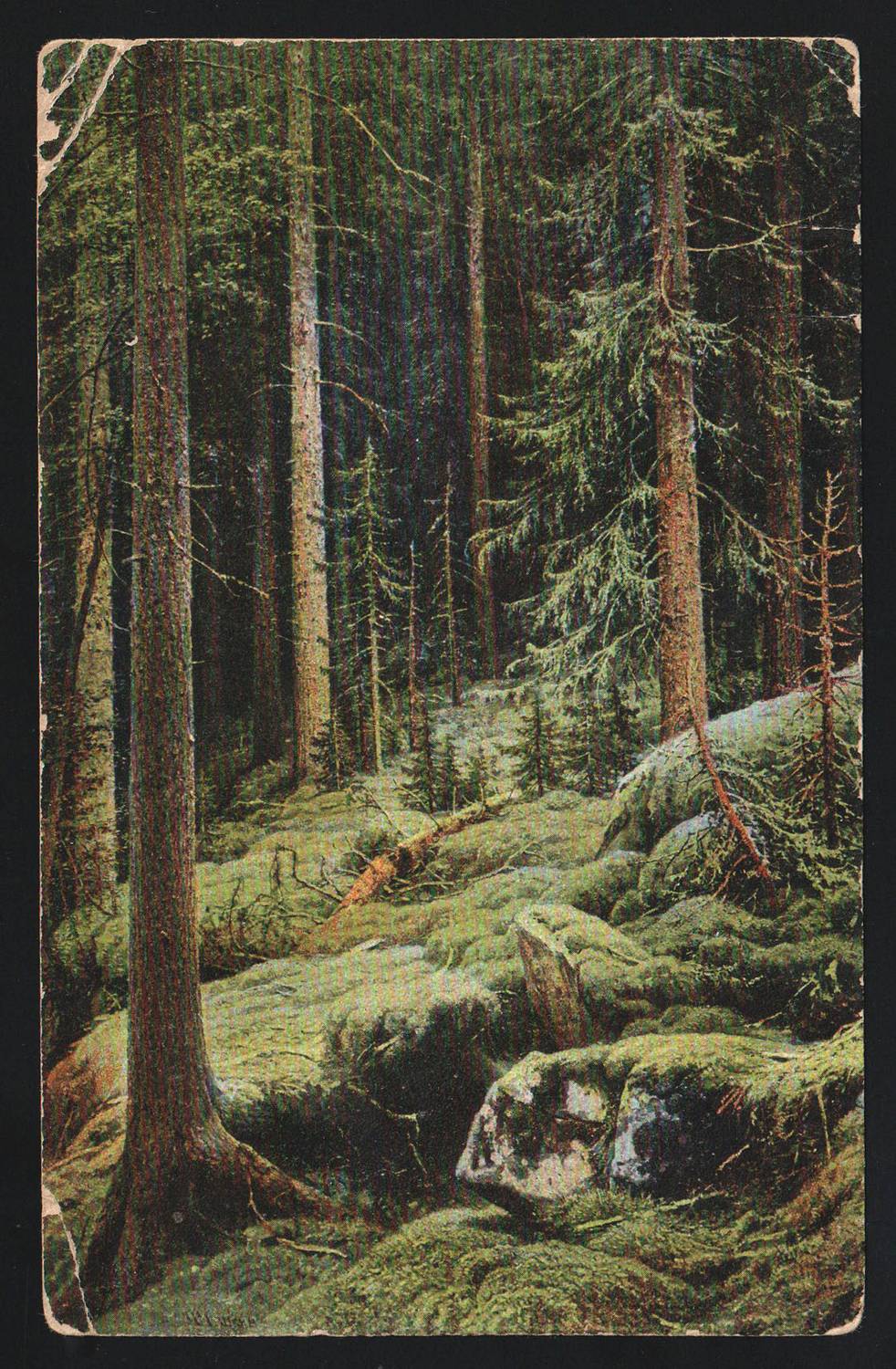 lot