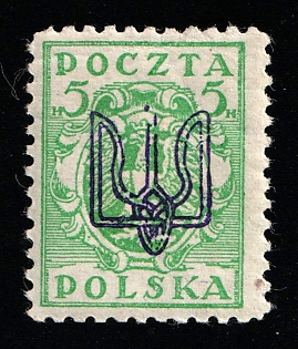 1919 5h Ternopil (Tarnopol), Ukraine, Polish Occupation (Signed)