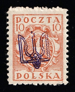 1919 10h Ternopil (Tarnopol), Ukraine, Polish Occupation (Signed)