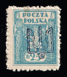 1919 25h Ternopil (Tarnopol), Ukraine, Polish Occupation (Signed)