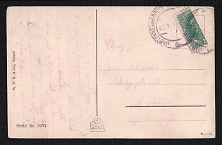 1919 (13 Jan) Czechoslovak Republic Postcard to Jablonné nad Orlicí (Czechoslovak Republic), franked with bisect 20h (Provisional franking Austria)