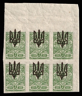 1918 2k Kiev (Kyiv) Type 3 A, Ukrainian Tridents, Ukraine, Block of Nine, SHIFTED Overprint, Corner Margins