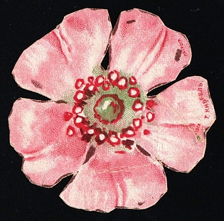 Flower, Russian Empire Cinderella in Favor of Soldiers