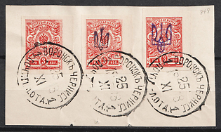 1918 3k Kiev (Kyiv) Types 1 and 2 on piece, Ukrainian Tridents, Ukraine, Voronok Postmarks