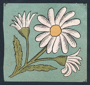 1916 (30.4) Flower, Russian Empire cinderella