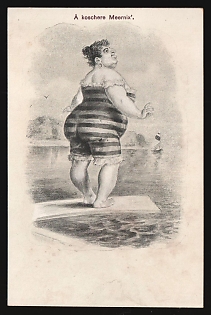 'Kosher mermaid', Germany, Universal Postal Union, Anti-Semitic Postcard, Judaica