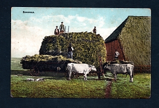 Postcard, Ukraine People Types, Peasants harvesting hay