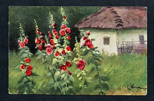 Postcard, Ukraine Views, E.Vrzheshch "House with mallows"