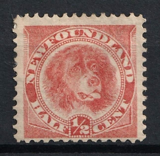 1896-98 0.5c Newfoundland, Canada, British Colonies