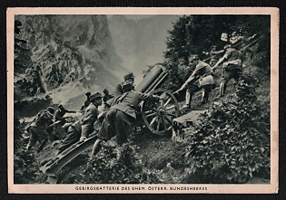 1941 'Mountain Artillery Battery of the Former Austrian Federal Army', Army Military, Third Reich Nazi Propaganda Postcard