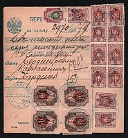 catalog