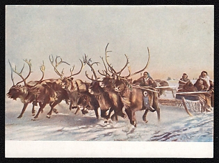 1953 'Traditional Reindeer Sled Races — a Favorite Sport of the Nenets' Soviet Union Picture Postcard
