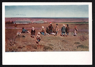 1929 'Cranes Fly' Soviet Union Picture Postcard