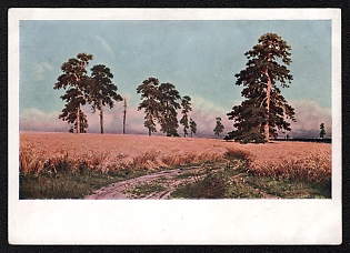 1929 'Rye' Soviet Union Picture Postcard