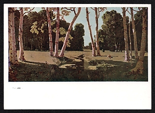1929 'A Birchwood' Soviet Union Picture Postcard