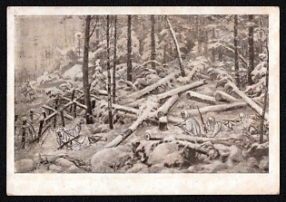 1947 'On Reconnaissance' Soviet Union, WWII, Military, Picture Postcard