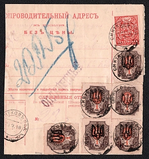 1919 (23 Sep) Parcel Receipt Card from Snitkiv to Yaltushkiv, franked with 50sh and 21x1r Podolia 1 (1a) Ukrainian trident overprints (50sh 22r total), with violet 'PAID' Handstamp, blue crayon postal marking, Signed by Vyrovyi