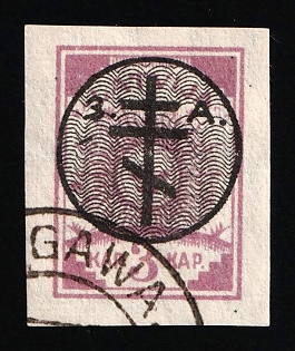 1919 3k West Army, Russia, Civil War, JELGAVA Postmark