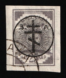 1919 25k West Army, Russia, Civil War, JELGAVA Postmark