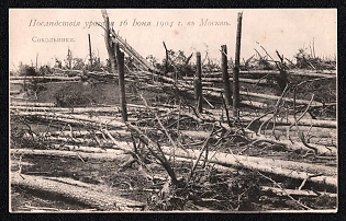 1904 'The Aftermath of the June 16, 1904 Hurricane in Moscow. Sokolniki', Russian Empire, Picture Postcard, Mint