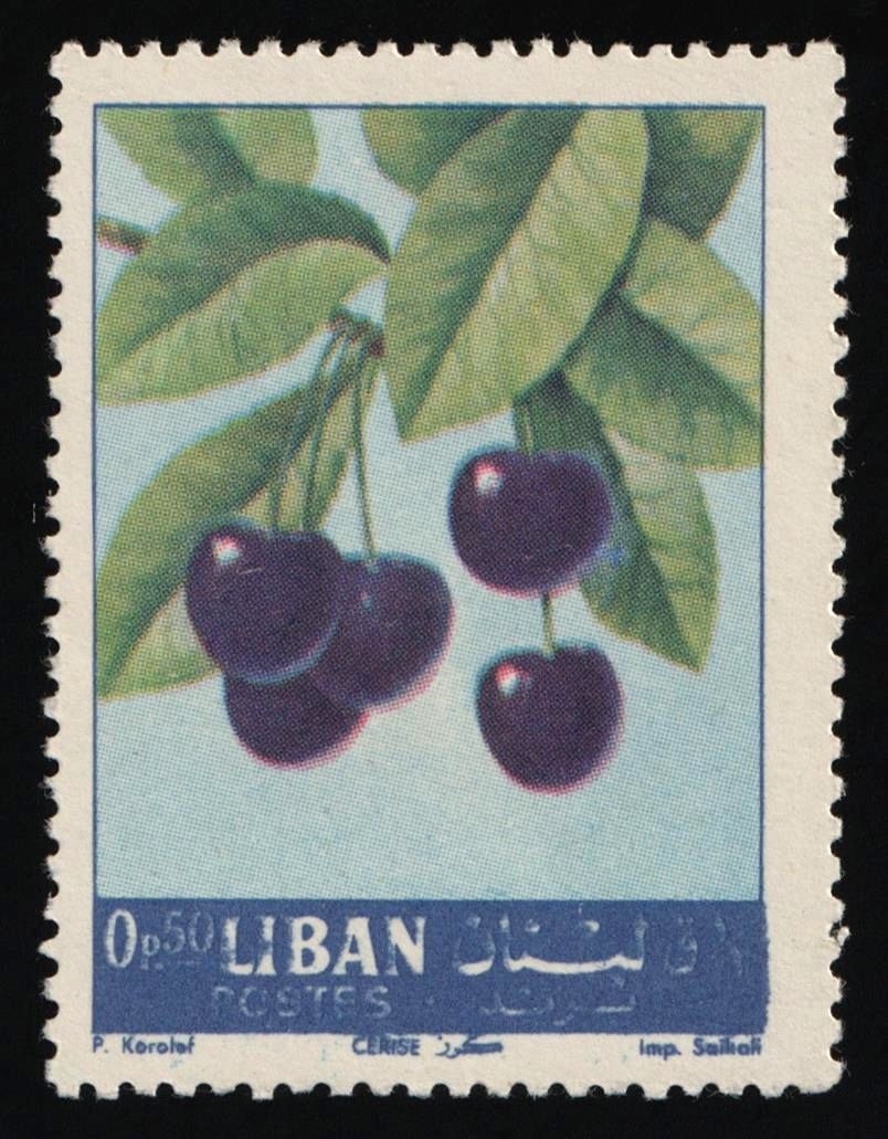 lot