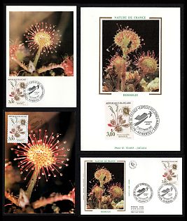 1993 French Republic, 'Nature de France, Wetland Species. Drosera Rossolis (Sundew)', First Day Covers and Picture Postcard franked with 3f, tied by 'Premier Jour' Commemorative Cancellation, Thematic Group