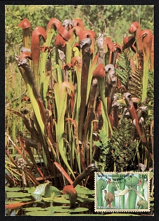 1996 (14 Mar) Geneva (Switzerland), United Nations 'Planet Cobra' Commemorative Picture Postcard franked with 0.80fr