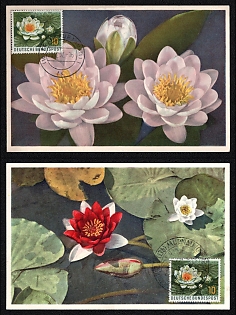 1957 Federal Republic of Germany (FRG), 'Nymphaea. Seerose Water-Lily Flowers', Commemorative Picture Postcards franked with 50pf, Thematic Group