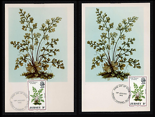 1972 (18 Jan) Bailiwick of Jersey, 'Wild Flowers of Jersey: Anogramma leptophylla Fern', First Day Picture Postcards franked with 3p, tied by Commemorative Cancellation, Thematic Group