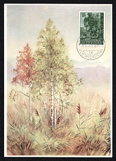 1957 Principality of Liechtenstein 'White Birch Tree', Picture Postcard franked with 1fr, tied by Commemorative Cancellation