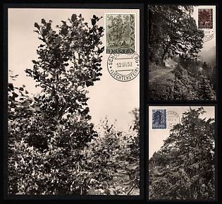 1958 Principality of Liechtenstein 'White Birch Tree', Picture Postcards tied by Commemorative Cancellation, Thematic Group