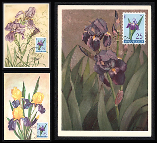 1957 Socialist Federal Republic of Yugoslavia, 'Irises and Botanical Art', Picture Postcards franked with 25d, tied by Commemorative Cancellation, Thematic Group
