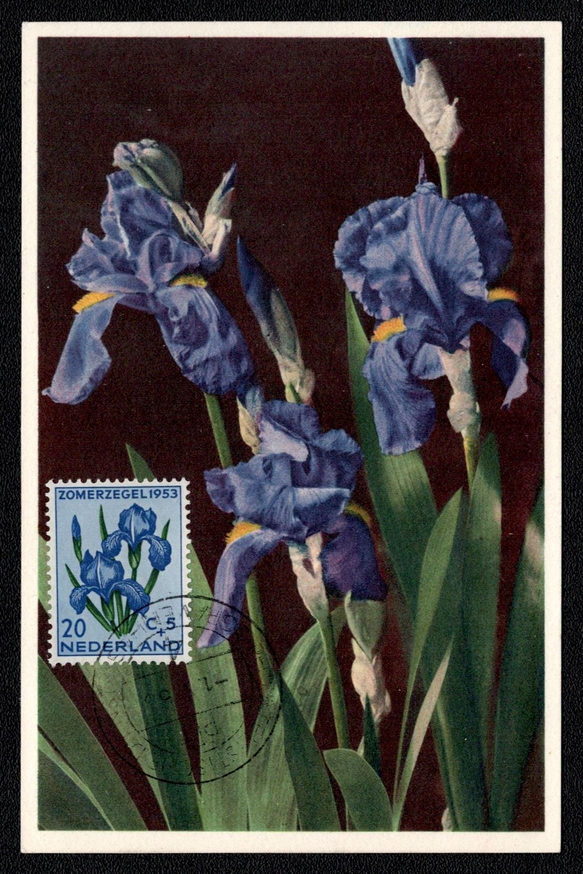 lot
