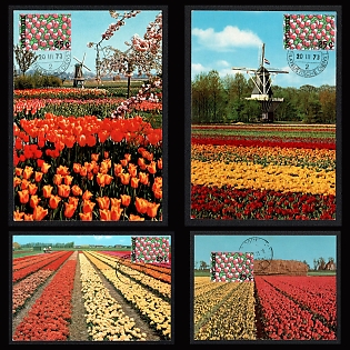 1973 (20 March) Kingdom of the Netherlands, 'Tulip Fields and Windmills' Picture Postcards franked with 25c, tied by Commemorative Cancellations, Thematic Group
