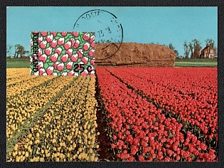 lot