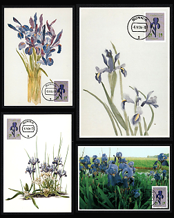 2004 (6 April) Kingdom of the Netherlands, 'Irises and Botanical Floral Art' Picture Postcards tied by 'Bunnik' Commemorative Cancellations, Thematic Group