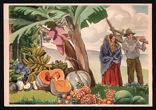 Portuguese Republic, 'A Flora Micaelense. S. Miguel', Picture Postal Stationary Postcard, Mint
