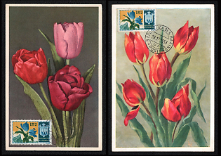 1953 (28 Dec) Republic of San Marino, 'Tulips in Bloom. Flowers' Picture Postcards franked with 2l, tied by Commemorative Cancellation, Thematic Group