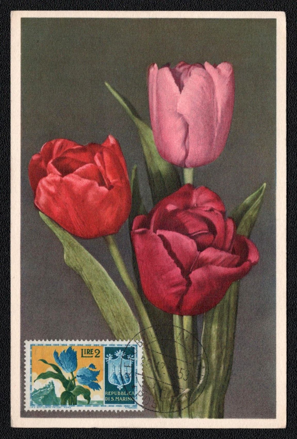 lot