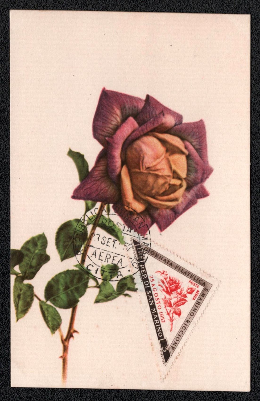 lot