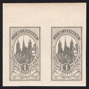 1921 1m Central Lithuania, Pair, Proof, Margin