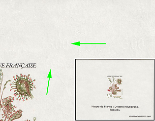 1981 3fr Nature of France, Rotundifolia sundew (Drosera rotundifolia), French Republic, Deluxe Presentation Miniature Proof Sheetlet, Blind Printing