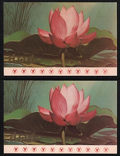 1971 (26 Nov) Kingdom of Thailand, Pink lotus Commemorative Picture Postcard franked with 25st