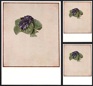 1979-1980  Federal Republic of Germany, 'Violet Bouquet' by Albrecht Dürer Picture Postcards
