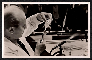 1937 'International Exhibition in Paris. The German House, Glassblower', Third Reich Nazi Propaganda Picture Postcard