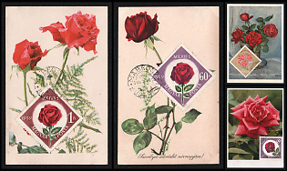 1959 Hungary, 'Roses' Commemorative Picture Postcards franked with 60f, 1ft, 2ft, Thematic Group