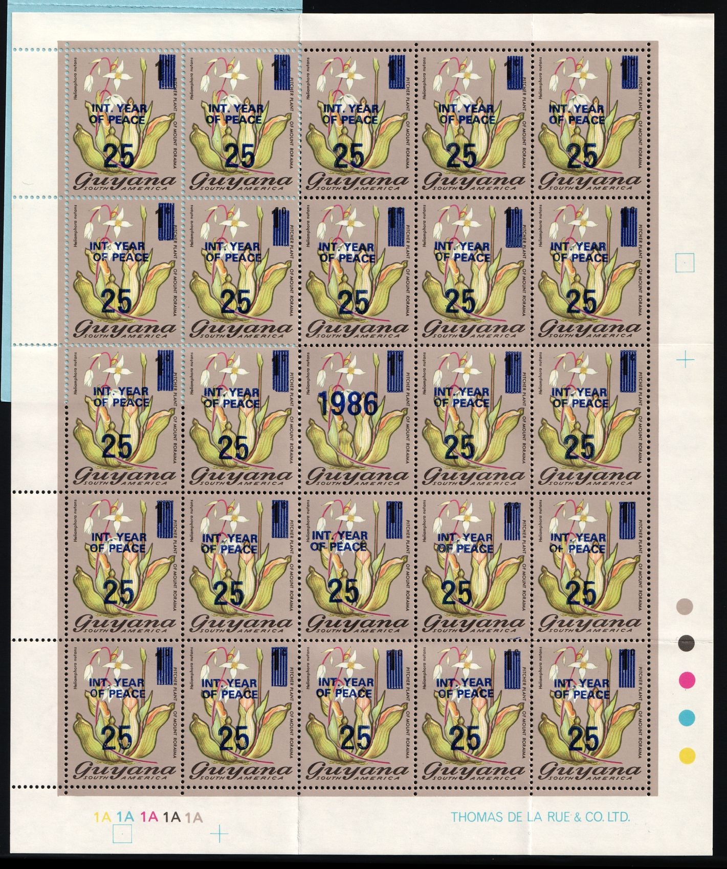 lot