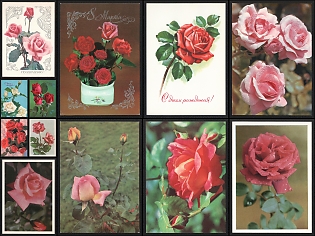 1959-83 Soviet Union, USSR, Russia, 'Roses', Postal Stationary Picture Postcards franked with 3k, 4k, 25k, Small Thematic Collection, Mint