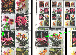 1998 Flora Orchids Flowers Series, Abkhazia (Georgia), Cinderella Illegual Issue, Blocks of Eight, Color Trial Proofs, DOUBLE Printing