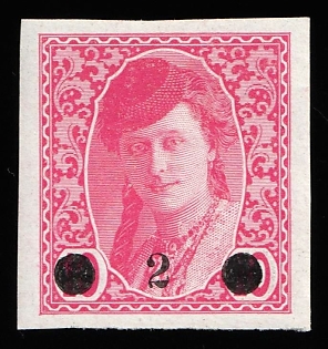 1919 2h on 10h Yugoslavia, Issued for Bosnia and Herzegovina